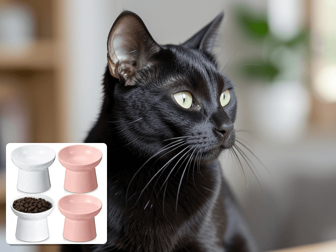 Sizing Guidelines for Different Cat Types - expert weighted cat bowls that won't tip over guide