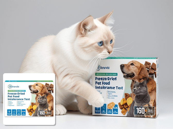 How Cat DNA Test Kits Work - expert cat DNA test kits for breed identification guide