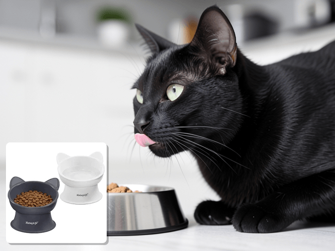 How Elevation and Tilt Work Together - expert raised cat food bowls for messy eaters guide