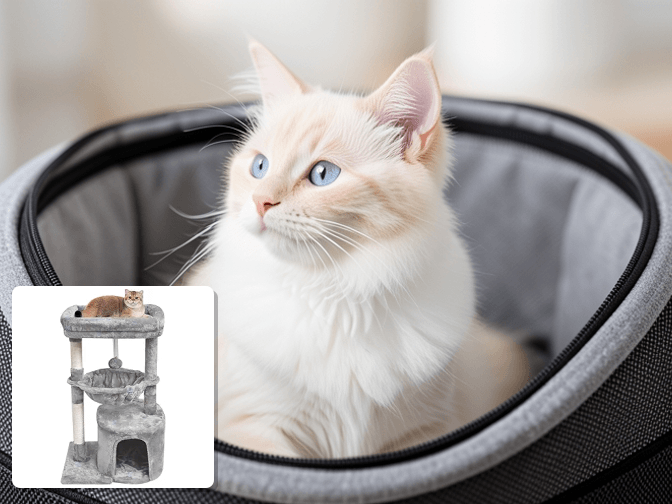How Compact Towers Improve Cat Behavior - expert compact cat tower for small spaces guide