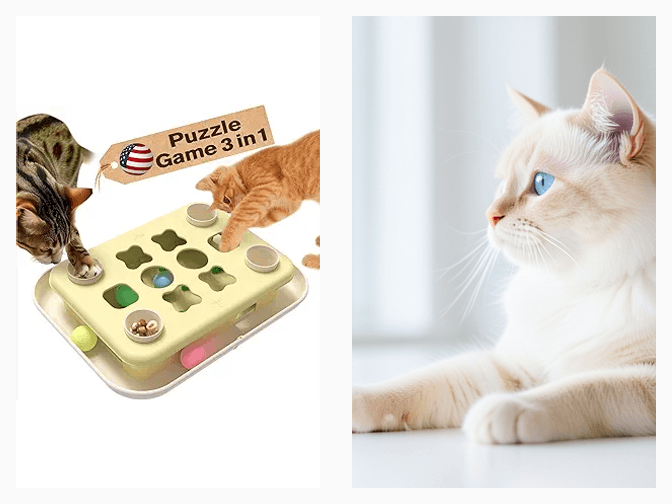 How These Activity Stations Support Cat Wellness - expert best cat indoor enrichment centers guide