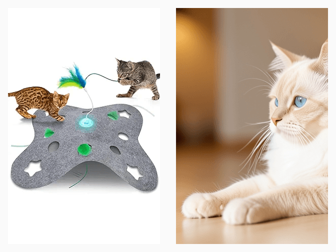 Cat owner reviewing how to choose cat indoor enrichment centers options for their pet in 2026