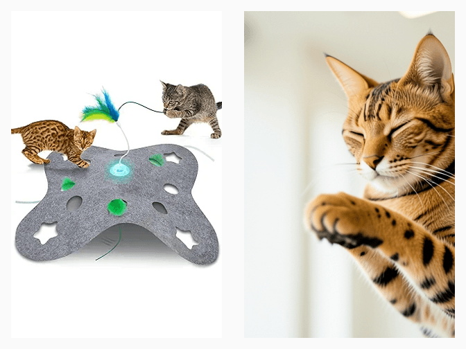 How These Enrichment Centers Work - expert how to choose cat indoor enrichment centers guide