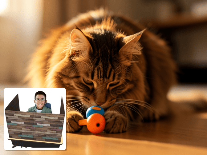 Cat owner reviewing litter box privacy screen portable options for their pet in 2026