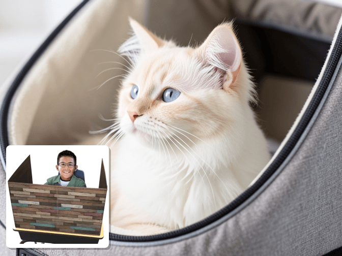 Budget Options Under - expert litter box privacy screen portable guide