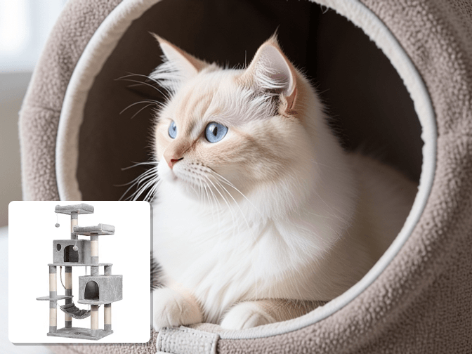 Plant Selection Beyond Generic Cat Grass Recommendations - expert multi level cat window perch with planters guide