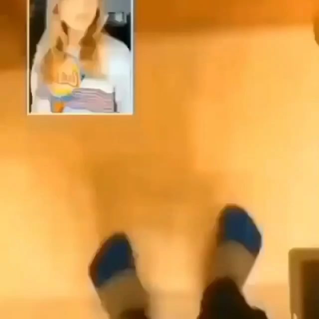 Cat at Cats Luv Us boarding