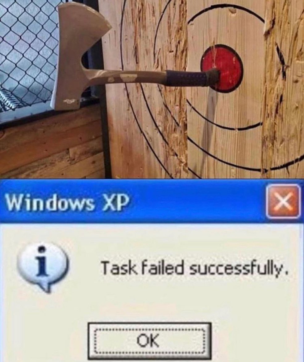 Cat being cared for at Cats Luv Us