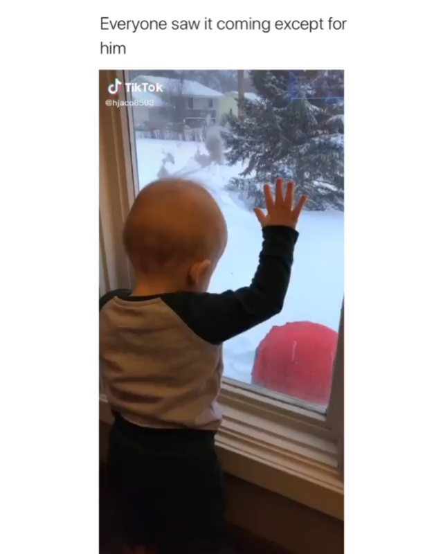 Cat guest at boarding hotel