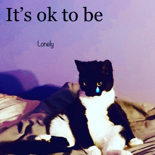 Cat relaxing at Cats Luv Us boarding