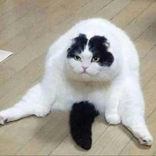 Frequently Asked Questions About Staying Lady Thing Stop