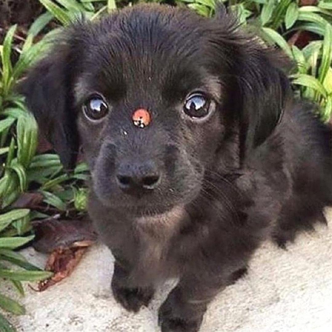 Cat youtube at Cats Luv Us