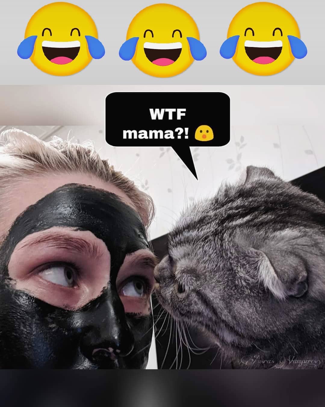 Cute funny at Cats Luv Us