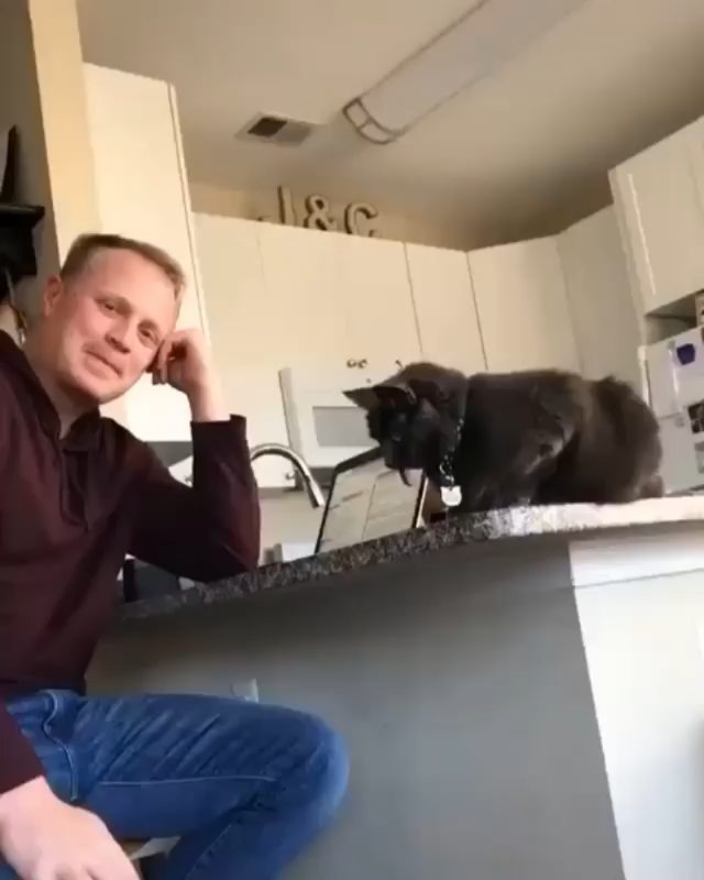 Weird things at Cats Luv Us