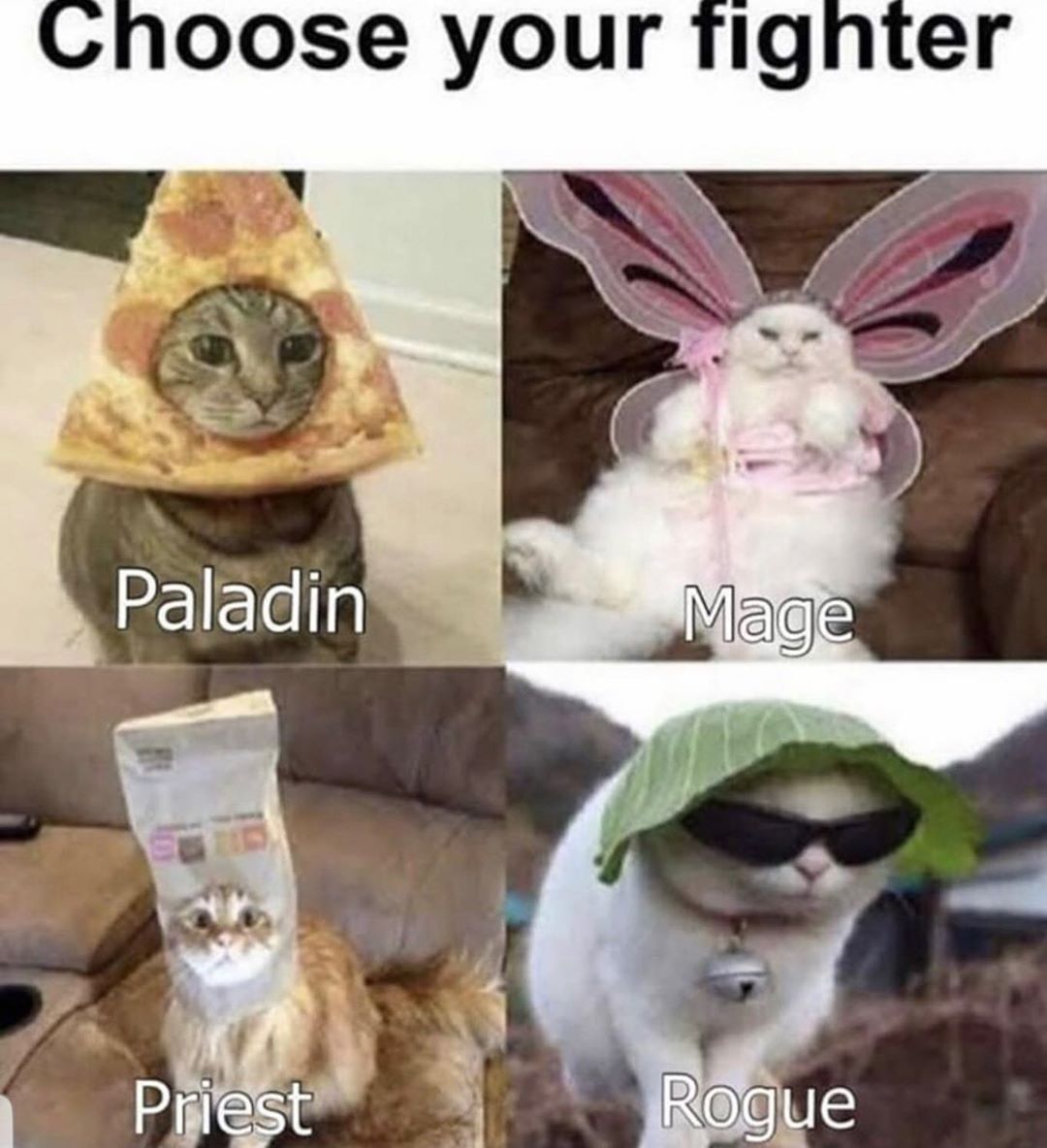 Funny cats at Cats Luv Us