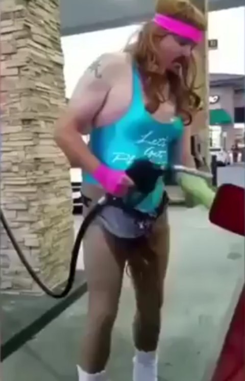 Cat instagram: What You Need to Know