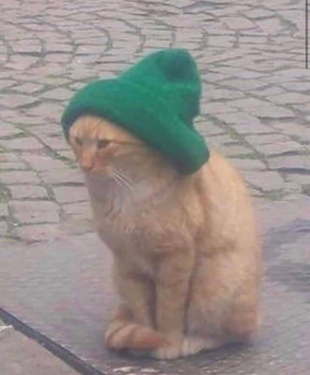 Stayin organized: What You Need to Know