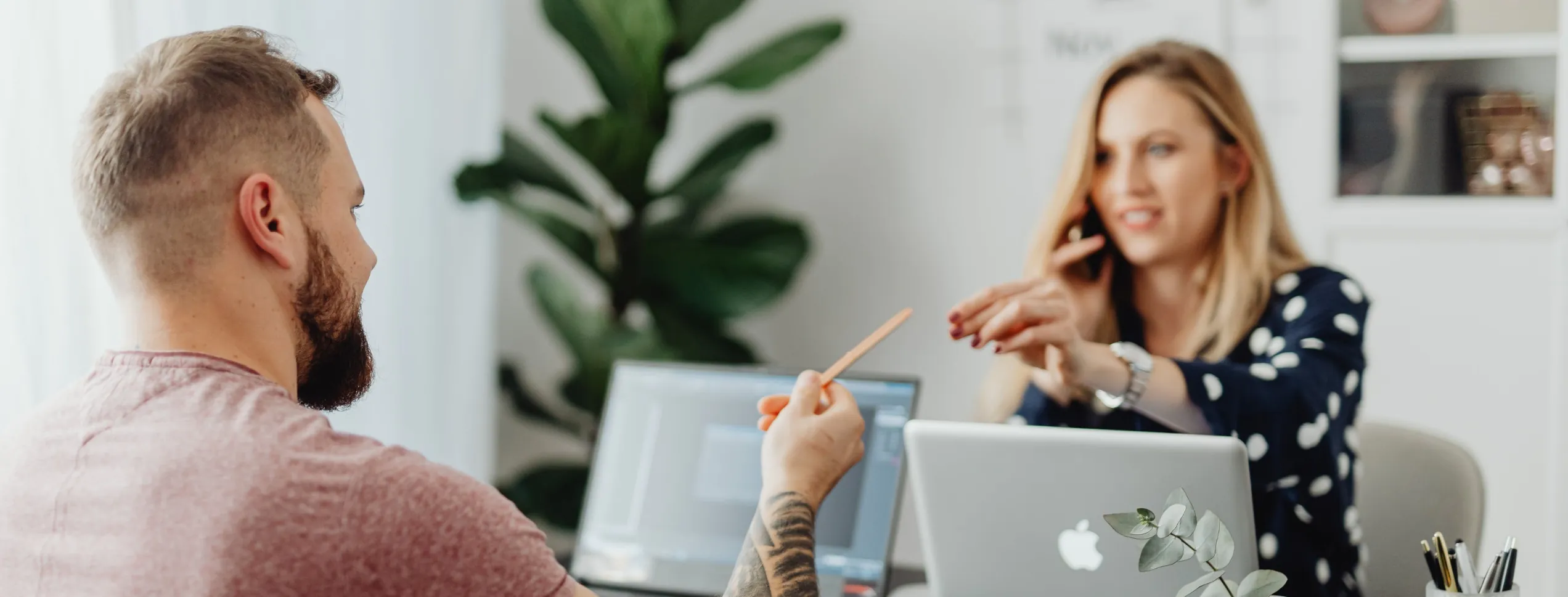 Cats Luv Us facility interior