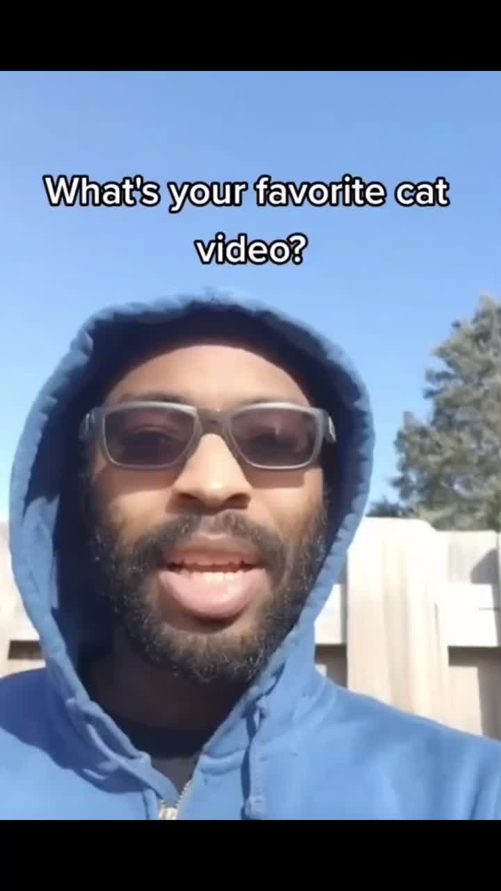 I care for this cat video 😂 @2goodmarshall #stitch #catvideos #adorableanimals #funnyvideos | Textual content material TIKTOK to 833-880-7724 For A Free Night time Promo Code