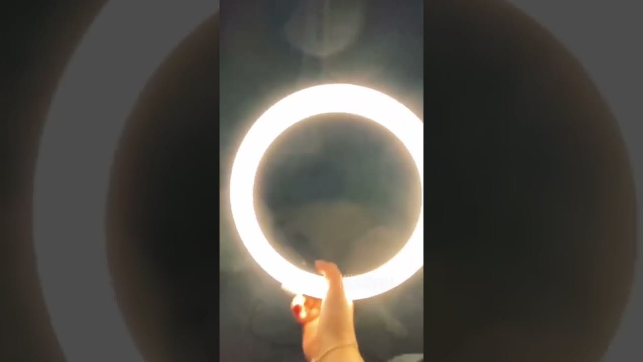 Cute and Funny Cat Videos to Keep You Smiling 2