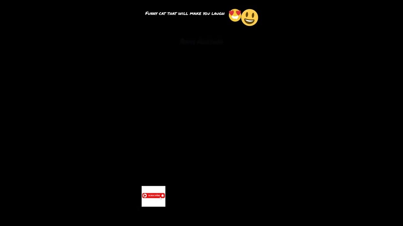 funny cat that will make you laugh#short trending