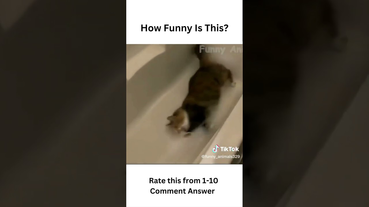 Amazing Funny Compilation  #shorts #short #funny #funnyvideo