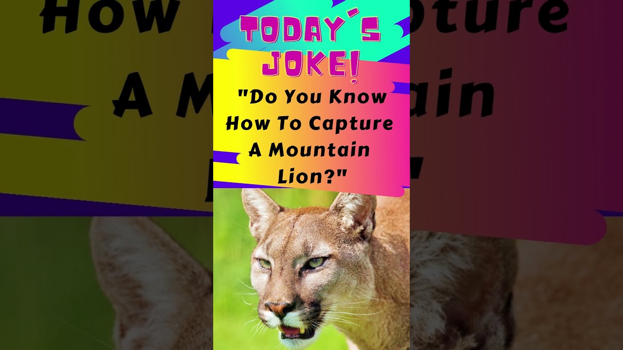 How To Catch A Mountain Lion #Short