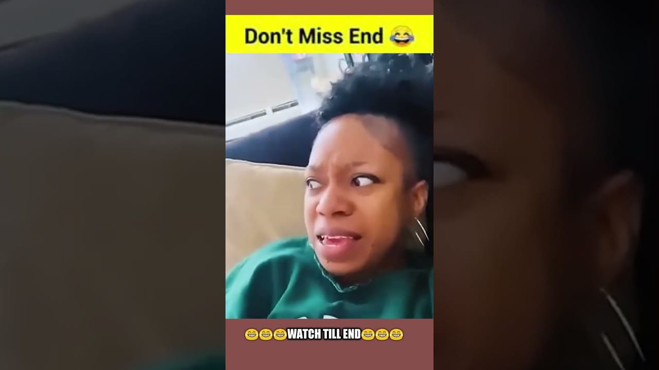 Laugh Out Loud with the Funniest Pets on the Internet