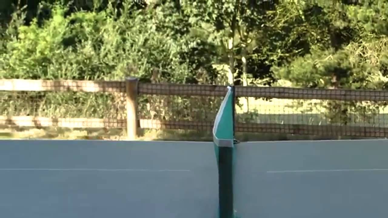 Morning dosis of cats    Holy Cat!  2014   Smooth videos