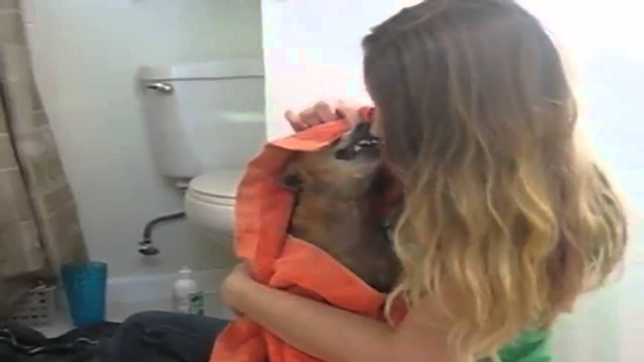 Morning dosis of cats amazing cute 2014 all time favorites