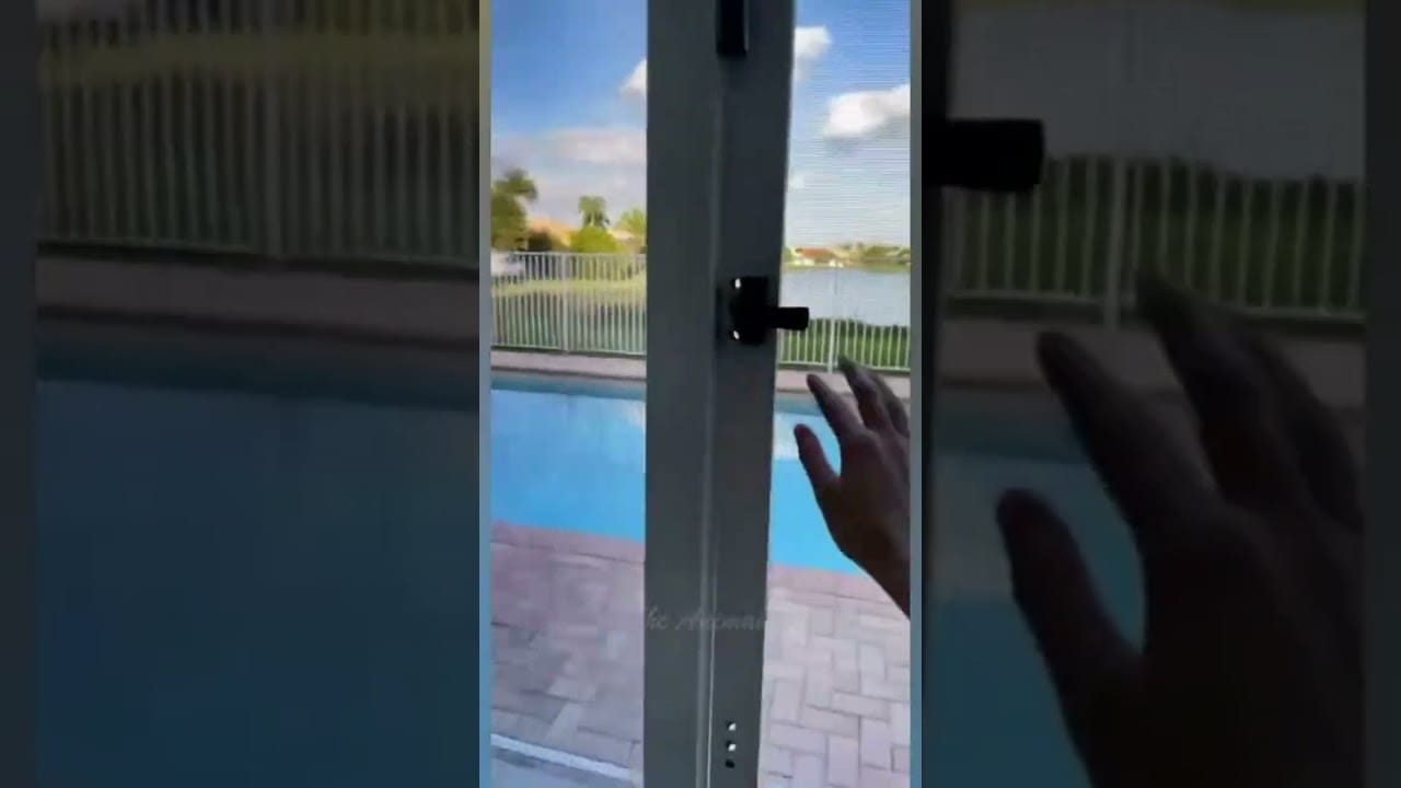 crazy cats crazy cats #shorts