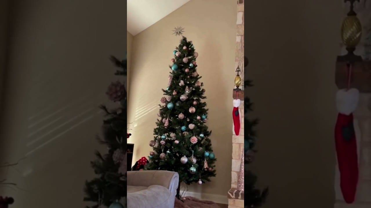 cute cats christmas #shorts