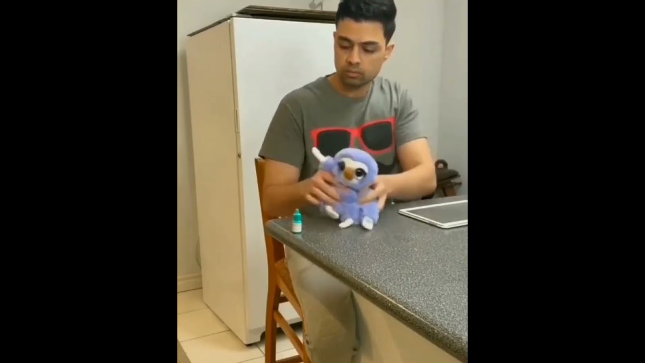 Hilarious Cat Memes Come to Life | Part 73 | #thedustycat #ytshorts #shorts