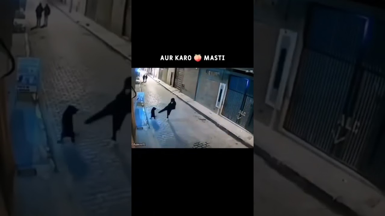 Cute cat video #short p75