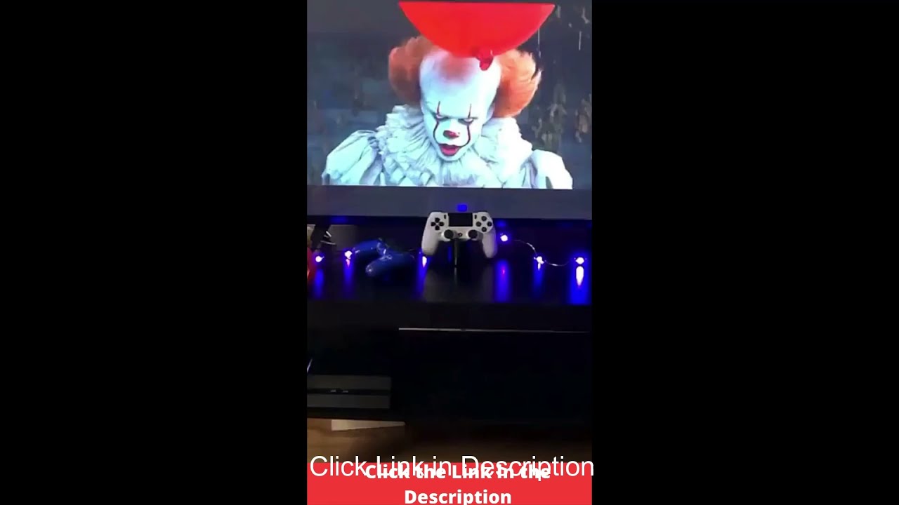 Animal Lover Shorts - Cute and Funny, Crazy Cats Videos #Shorts