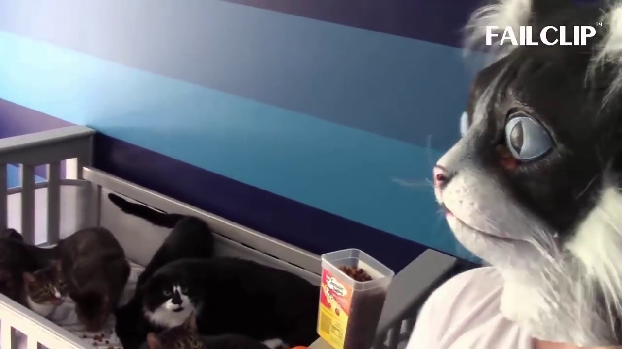 Funny Cat Fails Compilation 2016 Cat Fails By FailClip YouTube