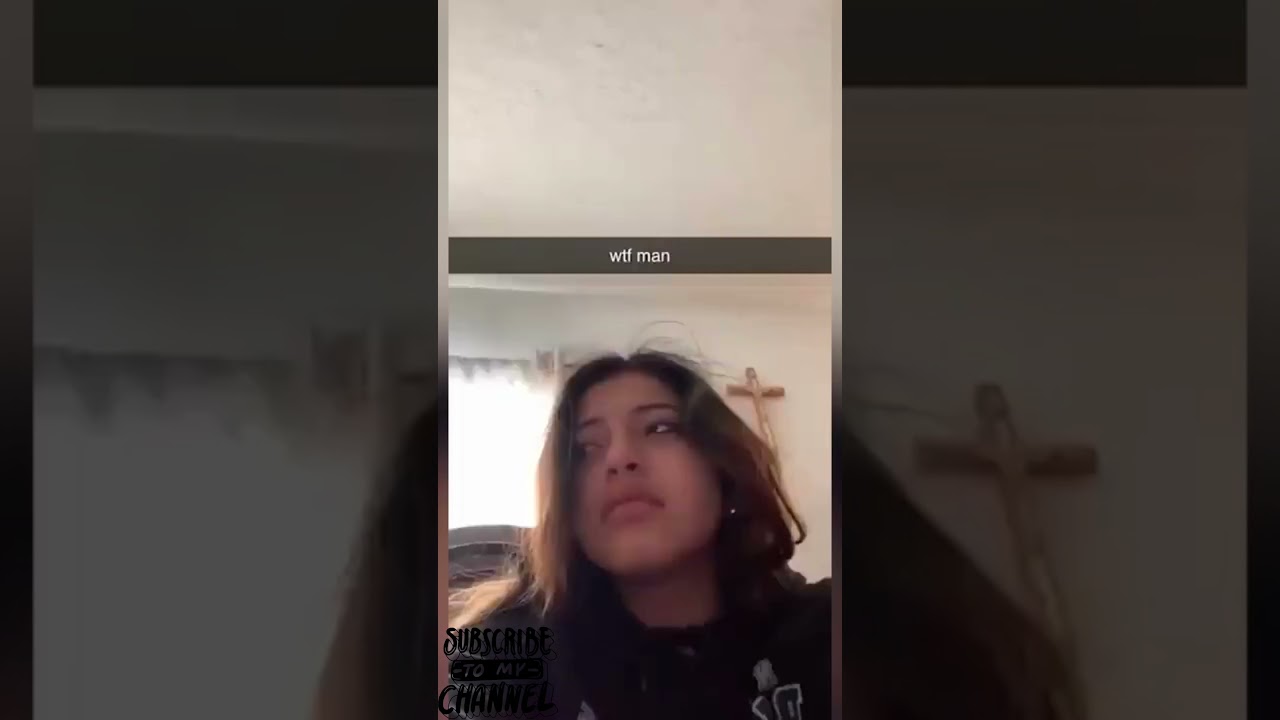 Gatti pazzi!!!! - Crazy cats!!!! #animali #funny #cat #shortsviral #viral