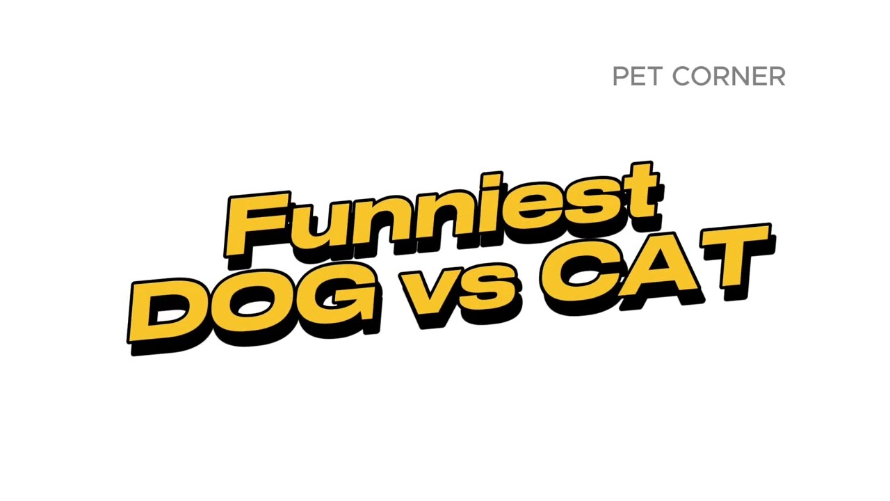 Funniest Furry Friends: Dog and Cat Antics Galore