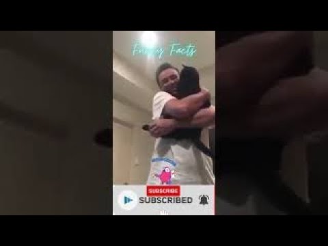 cute family of cats #cats funny cats videos #shorts