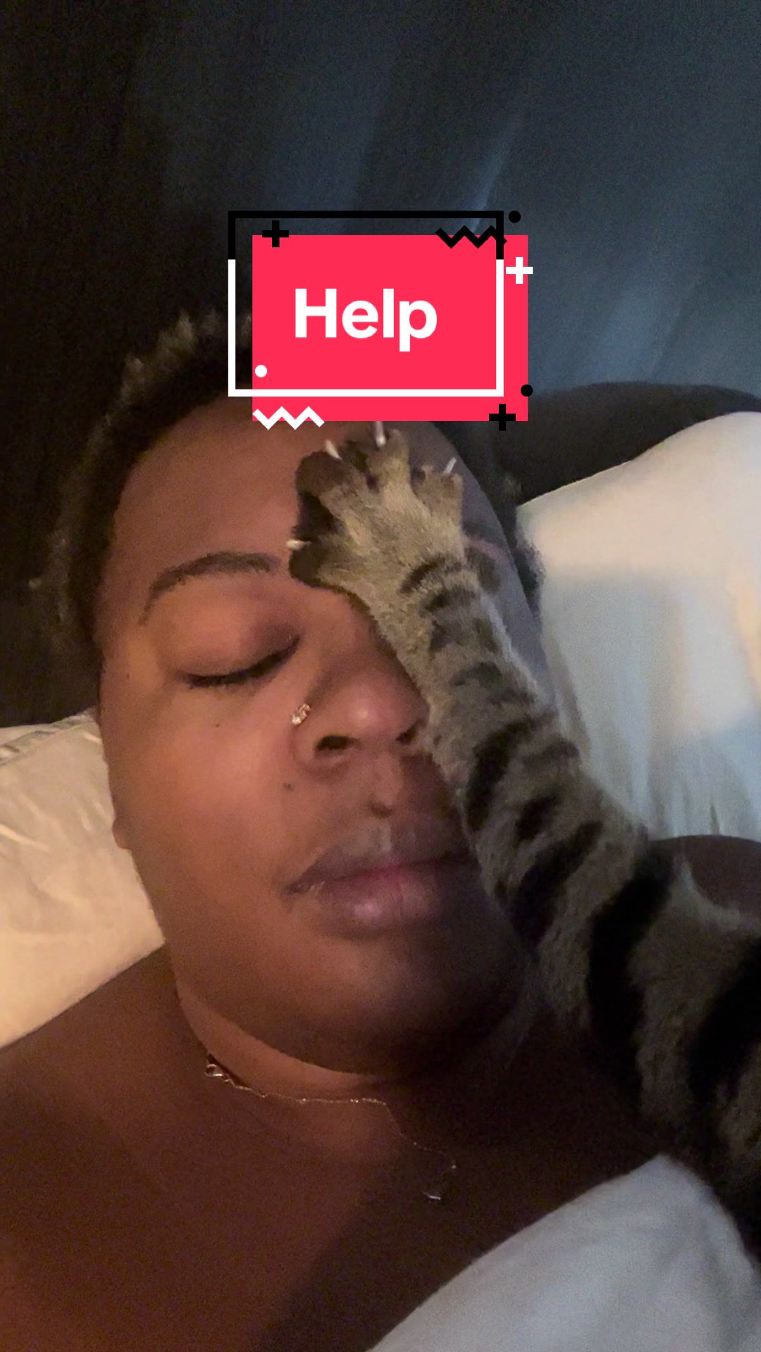 Supreme wakened #catvideos #fypシ #clingypet #catsoftiktok #catvids #catvideos #october | Text TIKTOK to 833-880-7724 For A Free Night Promo Code