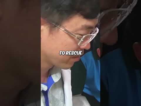 Mama cat took care of her disabled kitten on rooftop #shorts #cats #ShikyFAV