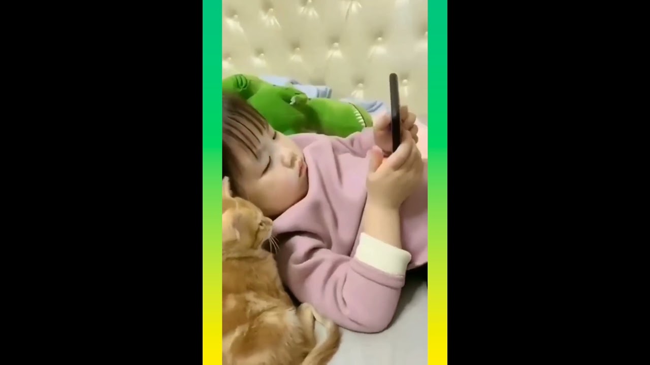 Cute and Funny Cat Videos Compilation 23 | #short