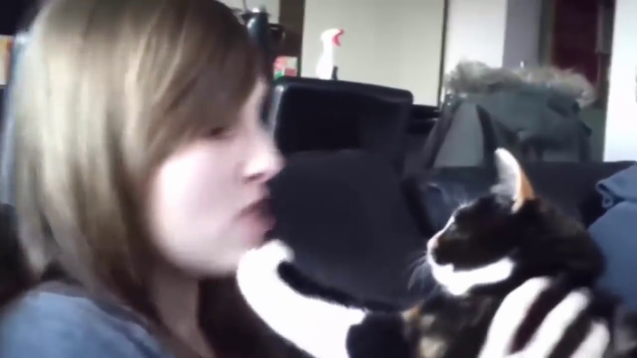 HILARIOUS CATS AND KISSES!