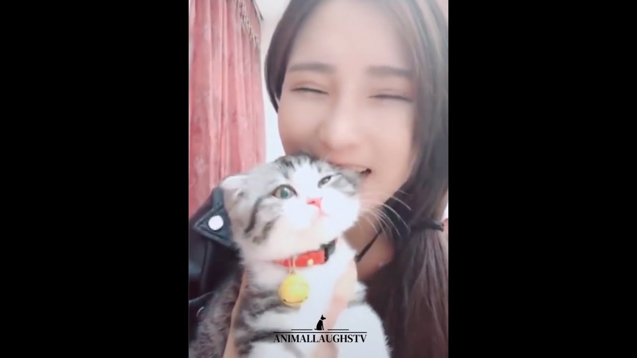 Wild laughs ; Funny animal Videos part 1