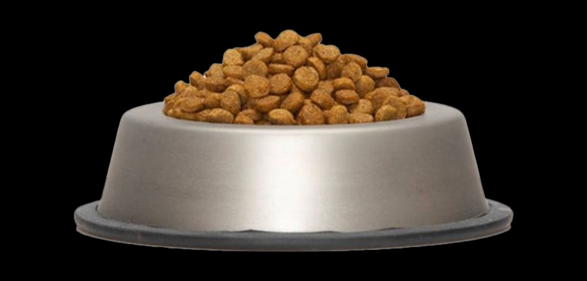 Essential Cat Feeding Accessories for Your Feline's Mealtime