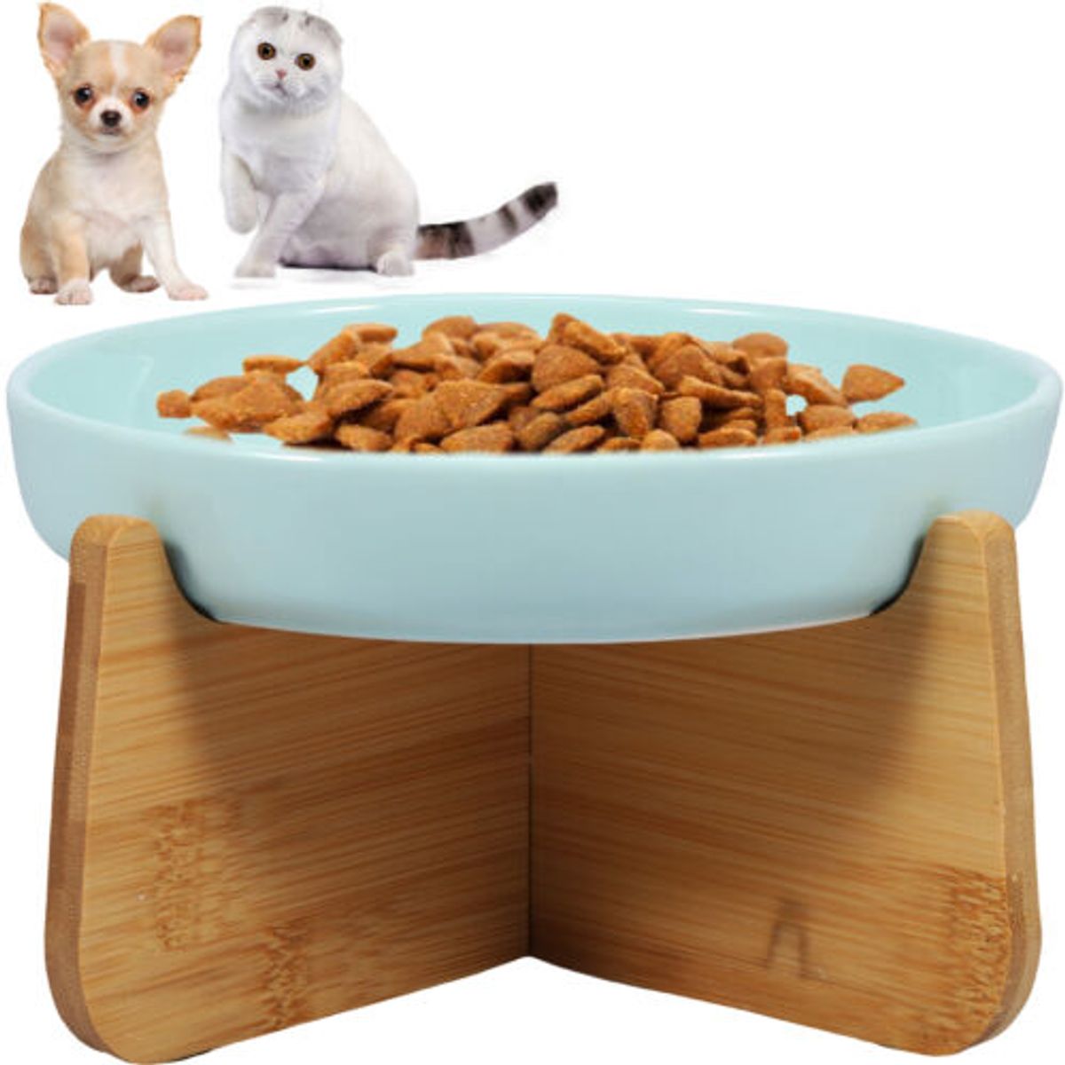 Feeding Feline Royalty: Luxury Cat Bowls &; Feeders You Need
