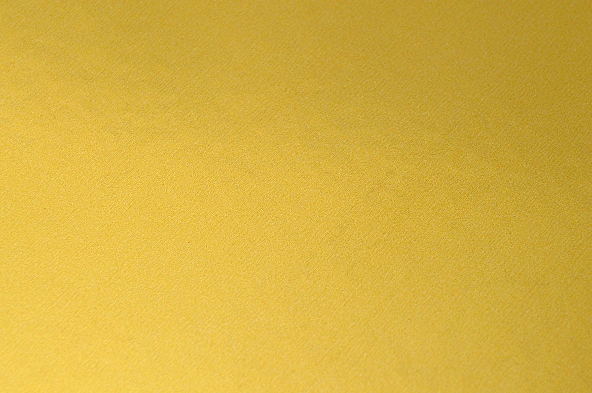 Can Cats Eat Oranges? Unraveling the Truth