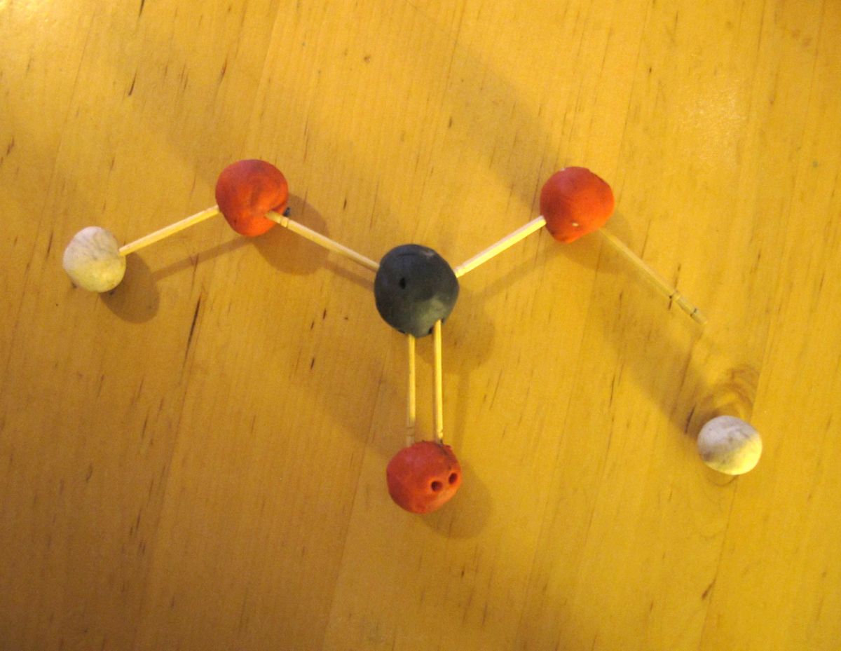 Is Baking Soda Safe for Cats? Exploring Home Remedies