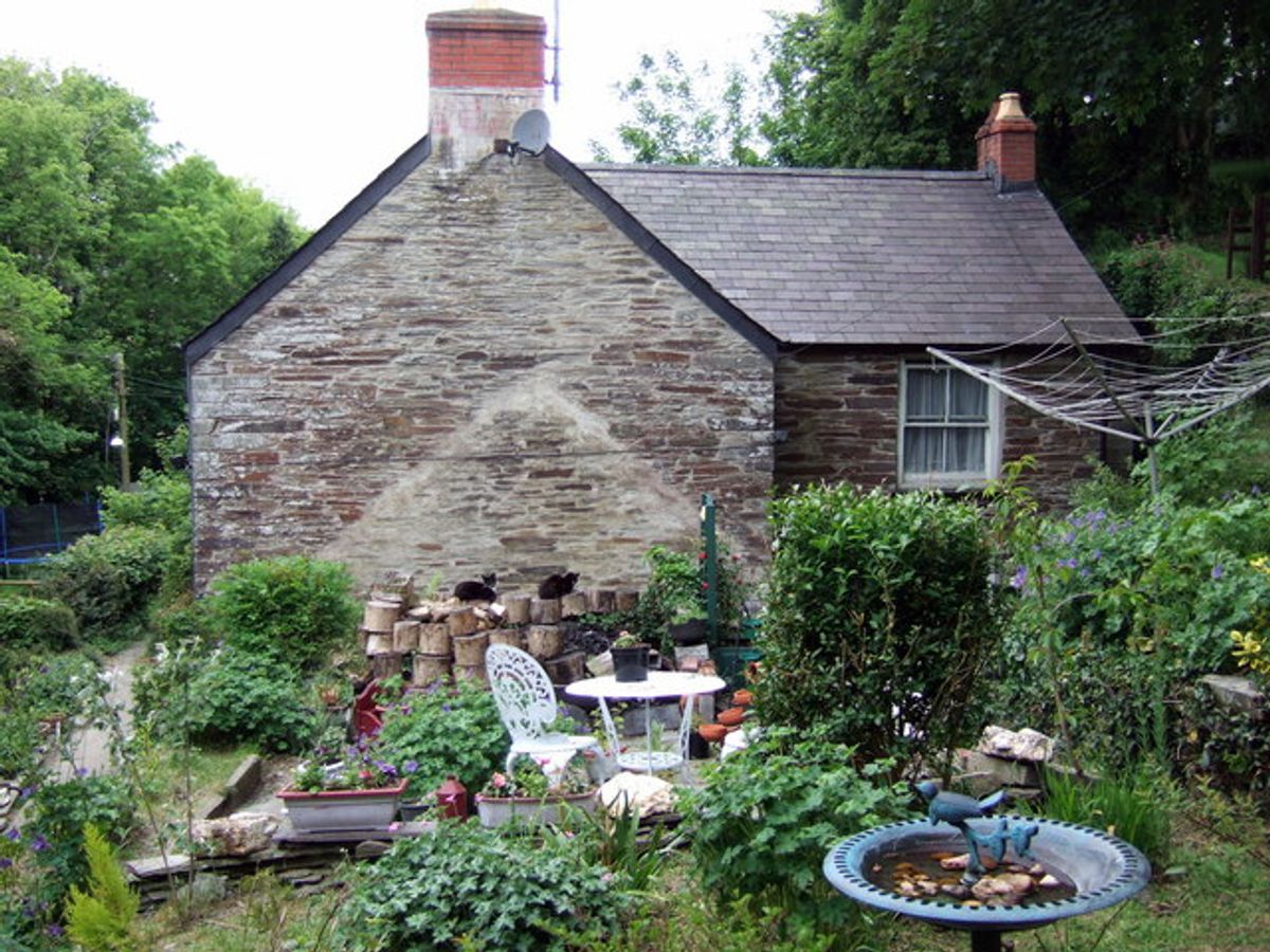 The Cat Cottage Experience: Home Away from Home for Your Kitty