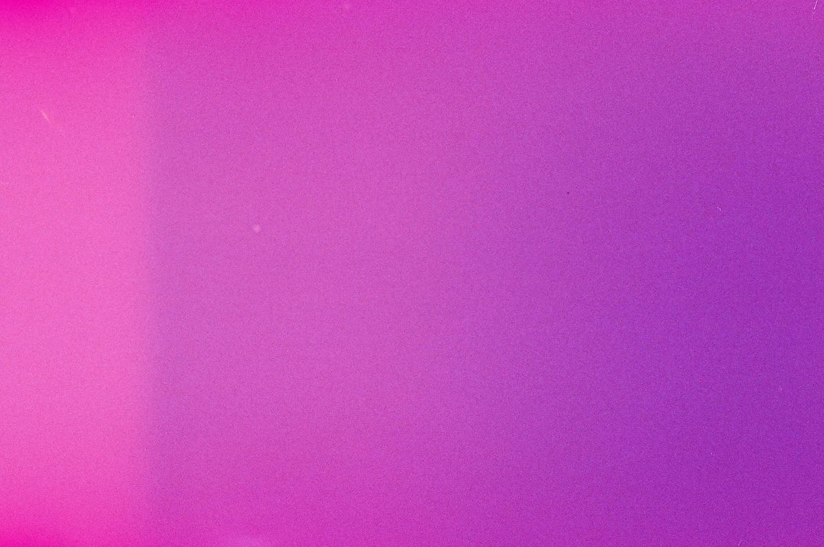 Are Irises Poisonous to Cats? Safety Tips for Cat Owners